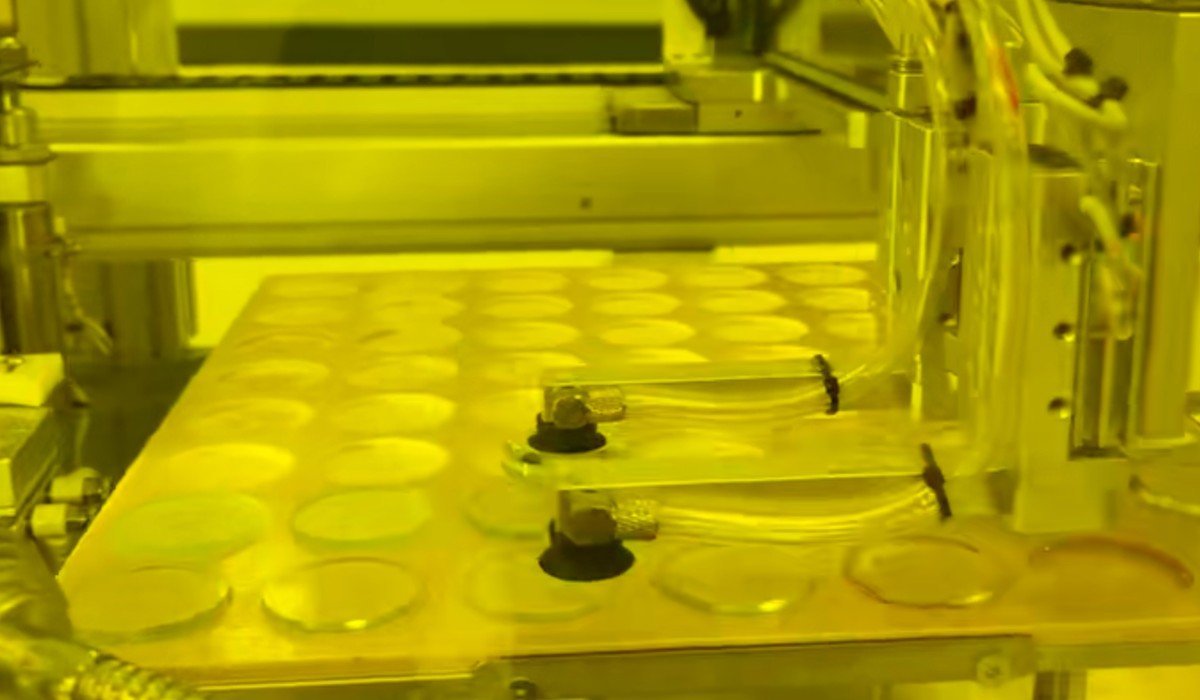 Vimfun glass cutting equipment is a perfect machine tool for precision cutting Generated lens blanks Ø6-50 mm coming off the Auto-SG-50VT integrated lens generating machine onto an output tray